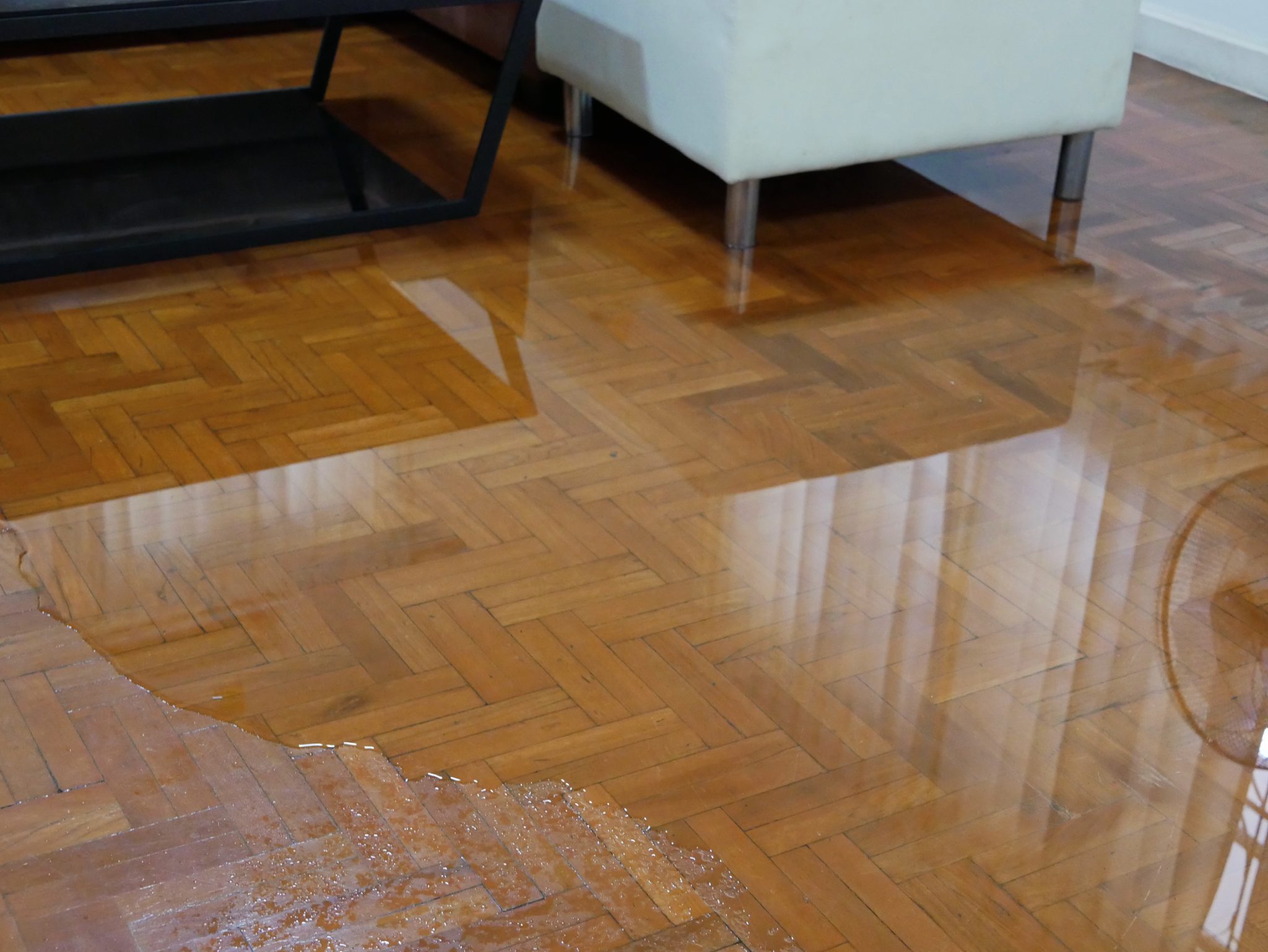 Standing water across a hardwood floor after a water loss