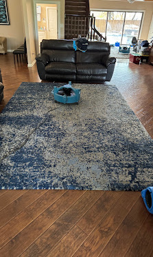 Low-profile air mover drying an area rug in a living room