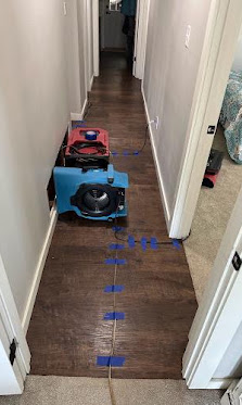 Air mover drying a residential hallway with moisture-mapped wood flooring